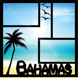 Bahama Palm